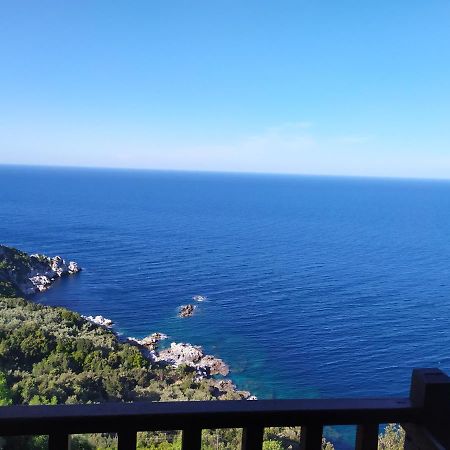 Double Studio Room In Mylopotamos With Beautifull View Цагарада Екстериор снимка